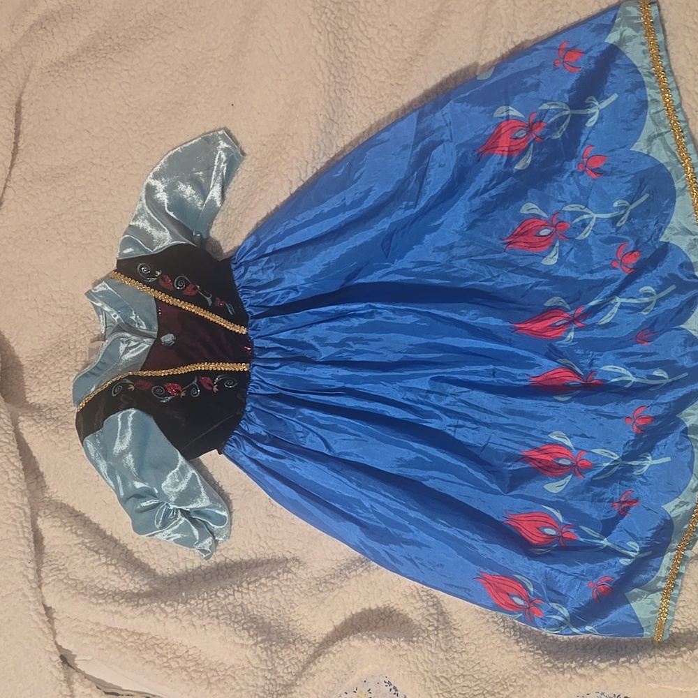Little Adventures Anna (Frozen) Dress Up (Medium) 3t-5t